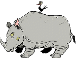 Gif animé rhinocéros énervé
